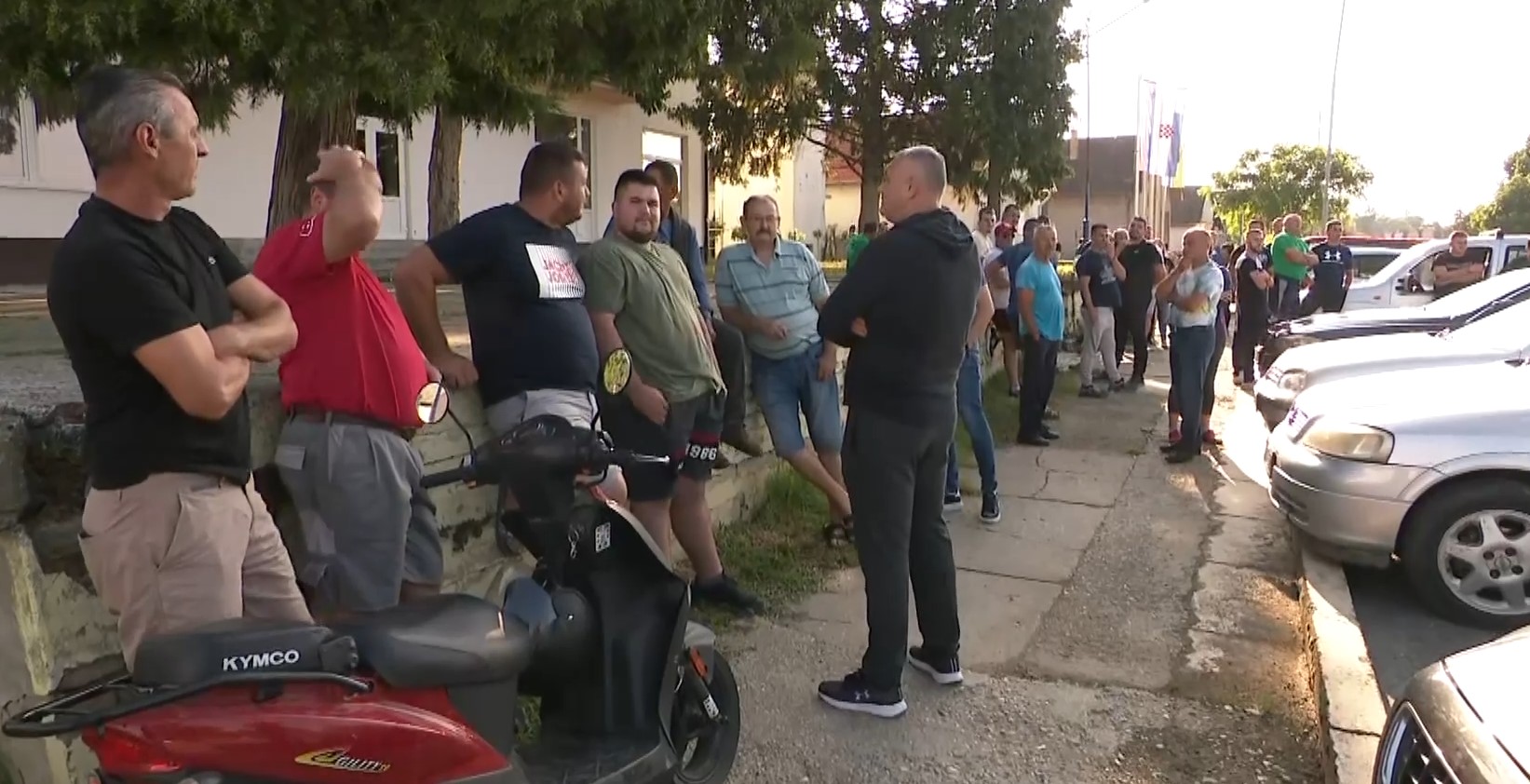 Počela eutanazija svinja u Baranji