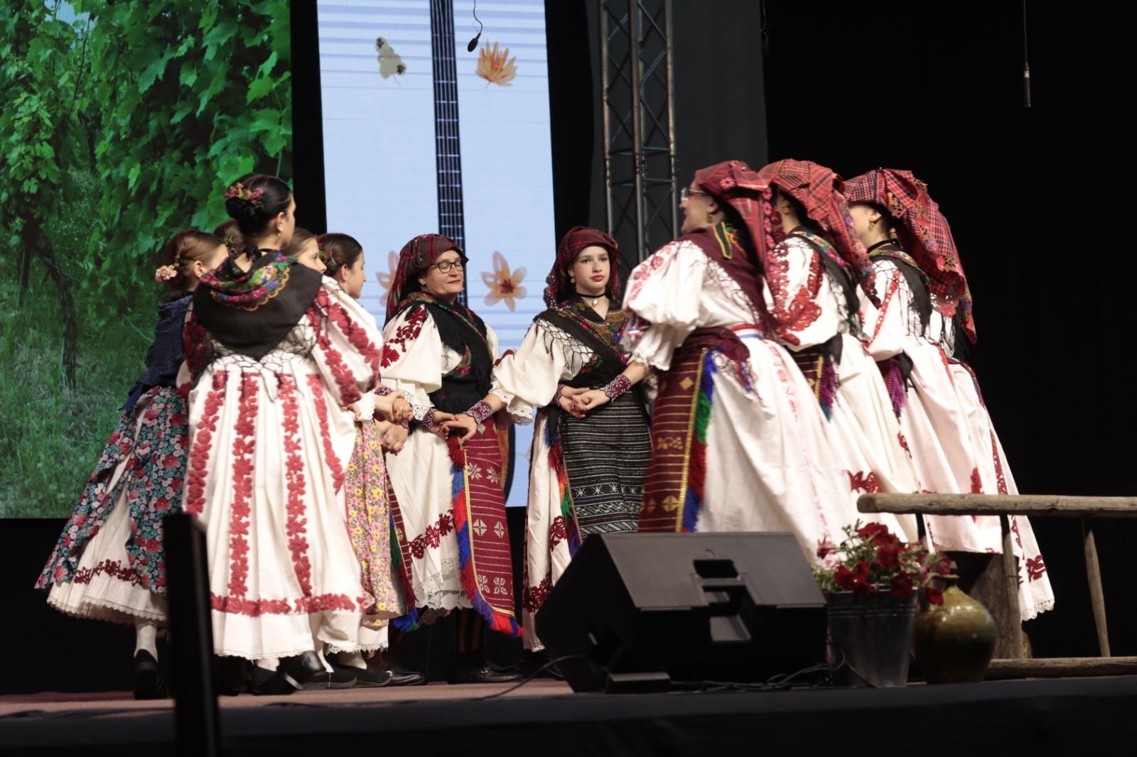 FOTOGALERIJA: Kaptol ponovno zapjevao i zaigrao uz „Šokačko se kolo vije“