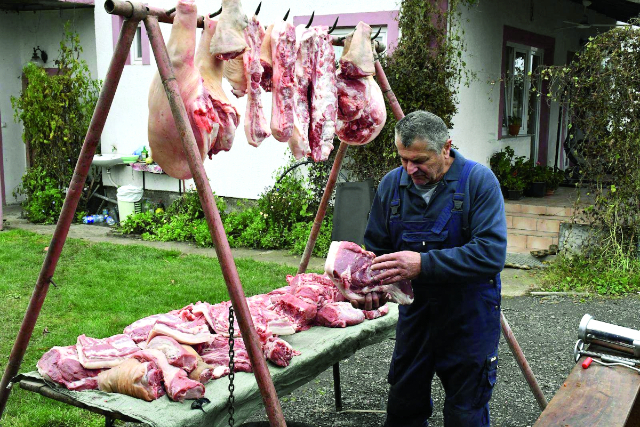 Provjerite jeste li u zoni: Ministarstvo objavilo tko smije klati svinje, a tko ne
