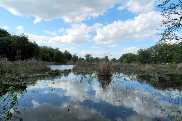 Modro oko Slavonije: Zovu ga posljednjim ostatkom Panonskog mora – znate li gdje je