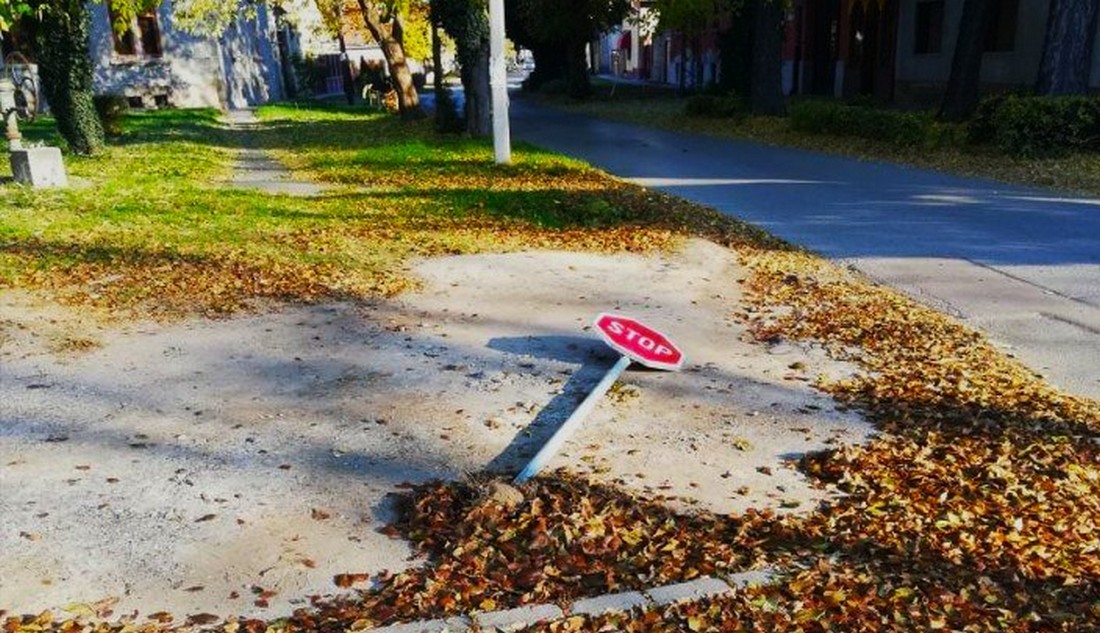 Mladost ili opasna glupost