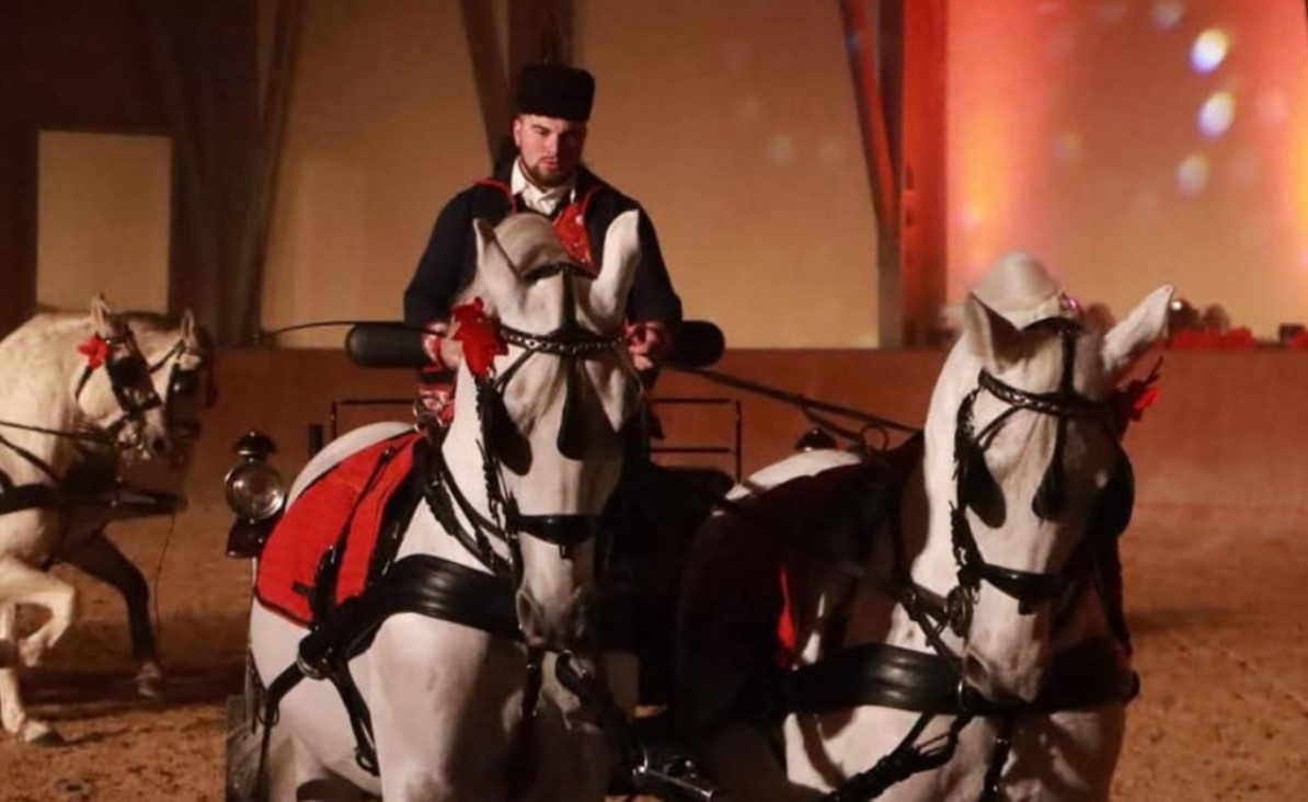FOTO: Božićni bal lipicanaca još jednom oduševio publiku!